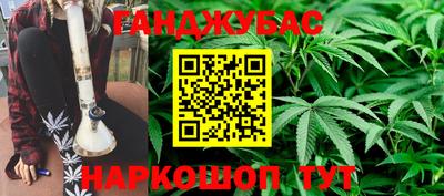 индика Дубна