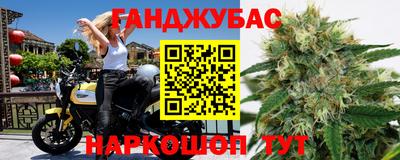индика Дубна