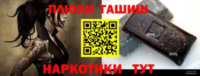 индика Дубна