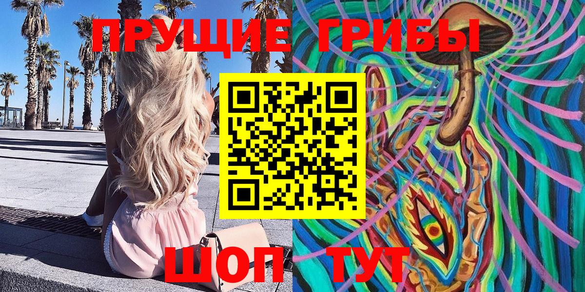 Миллерово  Галлюциногенные грибы Cubensis  Вход с VPN  Псилоцибиновые грибы MAGIC MUSHROOMS 